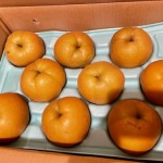 おだやかな家の中から