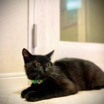 デリーの募集継続とお出かけの日の写真
