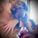 大掃除からのフェイドアウトと、もつ煮とビール