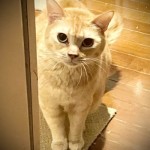 ごほうびの昼時間