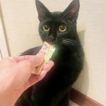 デリーは朔太郎くんになりました２