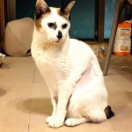 ほたるの甘え方