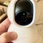 すずらんの体調のこと